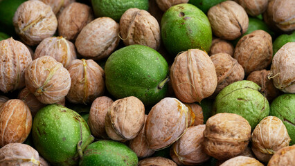 A background of freshly harvested walnuts. Close up.