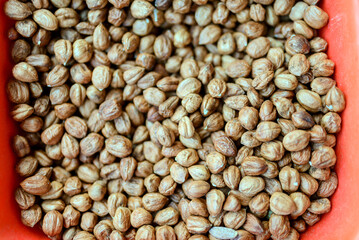 Shelled hazelnuts forming a nutritious food background