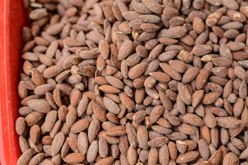 Roasted salted almond nuts filling red container