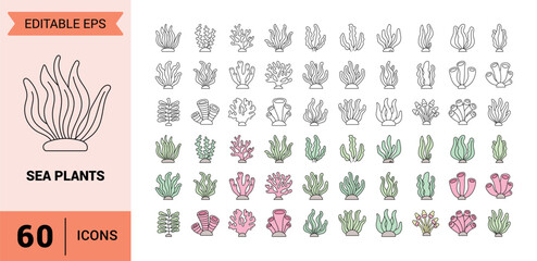 Collection of colorful and simple hand drawn sea plant icons and illustrations for underwater design