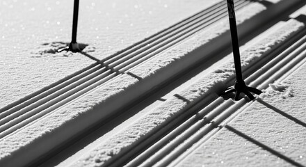 Black and white image of two ski poles embedded in groomed snow with prominent ski tracks and cast shadows.