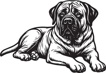 english mastiff dog portrait