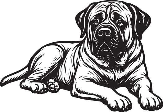 english mastiff dog portrait