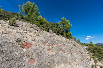 Titanosaur footprints from Orcau, Sauropod site, Pallars Jussà, Lleida, Catalonia, Spain © Tolo