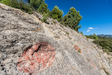 Titanosaur footprints from Orcau, Sauropod site, Pallars Jussà, Lleida, Catalonia, Spain © Tolo