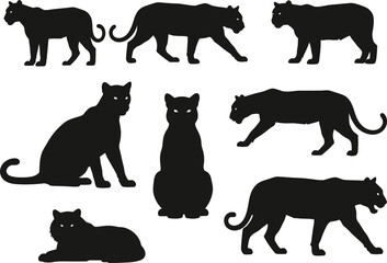 Collection of black silhouette big cat poses and stances