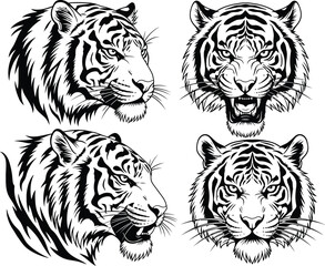 Four detailed black and white tiger head illustrations in different poses