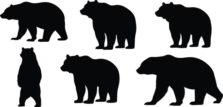 Collection of black bear silhouettes in various poses