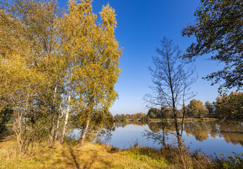 Fototapeta premium Beautiful lake with trees in the background