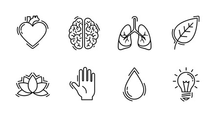 Minimalist line icons of heart, brain, lungs, leaf, lotus, hand, water drop, and light bulb