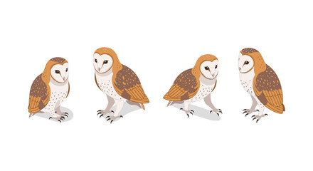 Fototapeta premium Barn owl quartet in soft colors and flat design on white background