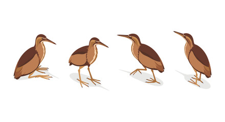 Obraz premium Heron collection: detailed bird poses in minimalist style