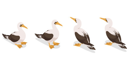 Obraz premium Isometric seagull illustrations showing four unique poses and angles in calm tones