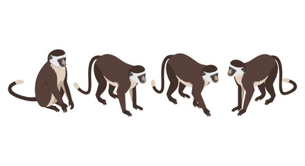Set of isometric monkeys in various poses on white background