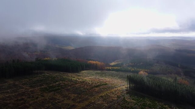 a cleared forest area in autumn from above 4k 25fps video