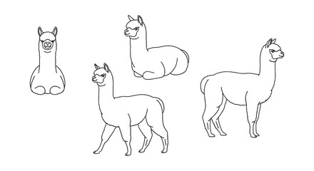 Naklejka premium Cute alpaca line art in various poses for animal sketch designs