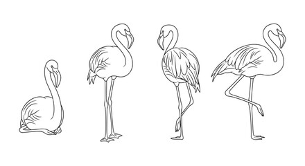 Fototapeta premium Elegant flamingo line art collection: minimalist linear designs for creative projects