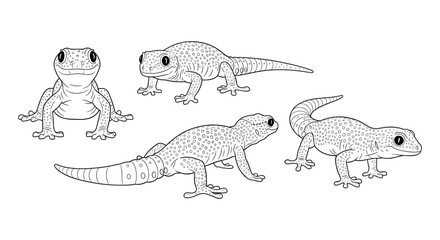 Obraz premium Detailed black and white geckos collection in line art style