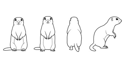 Linear style prairie dog in multiple poses: front, side, back views