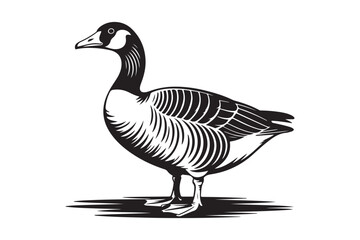Detailed black and white illustration of a canada goose standing