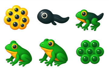 Fototapeta premium Series of images of frogs and tadpoles