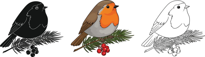 Charming robin perched a branch with berries, in color, silhouette, and outline, , perfect for winter and naturethemed designs