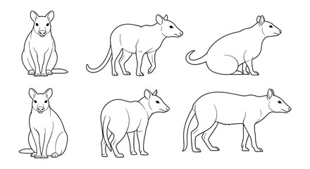 Fototapeta premium Line art rodent illustrations: six minimalist rodent poses