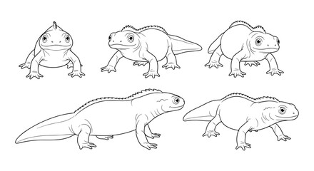 Detailed line art of iguanas highlighting various poses and expressions for reptile designs