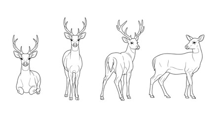 Naklejka premium Elegant deer line art collection featuring various poses and antler styles