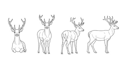 Naklejka premium Elegant deer line art: four graceful deer poses with antlers