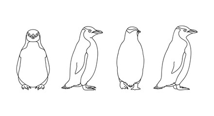 Penguin outline art: front and side views in minimalist style