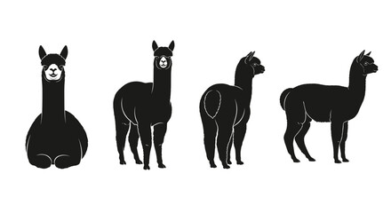 Naklejka premium Silhouette alpacas: minimalist black and white design of four unique poses