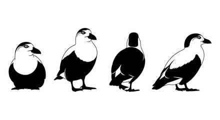 Naklejka premium Penguin silhouette set in various poses showcasing side and back views