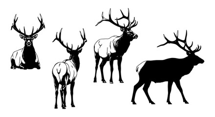 Monochrome deer silhouettes with antlers in various poses on white background