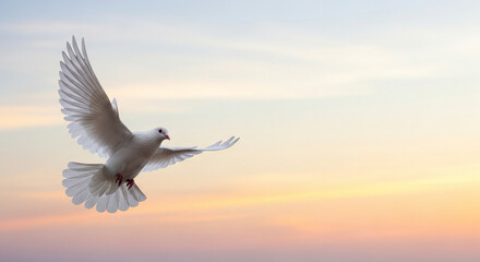 white dove silhouette flying across pastel sky, peaceful gradient background