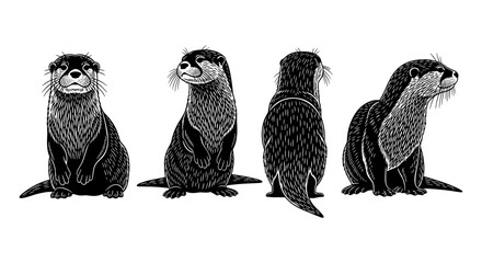 Detailed hand drawn otter illustrations in black and white from multiple angles