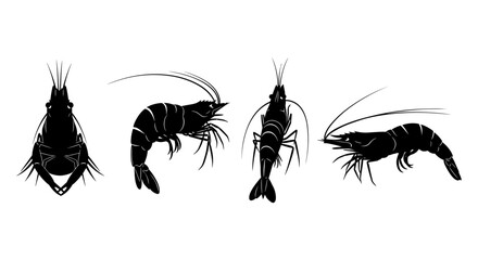 Shrimp silhouette set: creative seafood art for culinary design projects