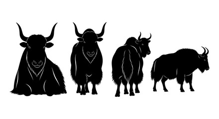 Silhouette yak and bison set on white background