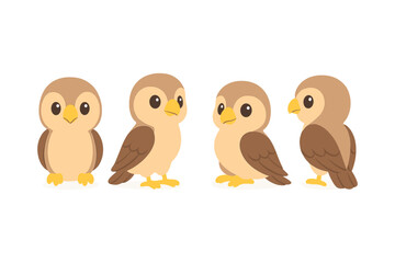 Adorable cartoon owls in different poses on white background