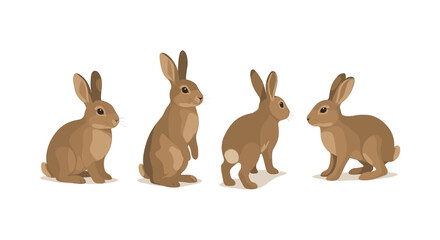 Fototapeta premium Cute brown rabbits in various poses on white background