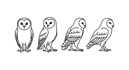 Barn owl line art set with various poses in continuous style