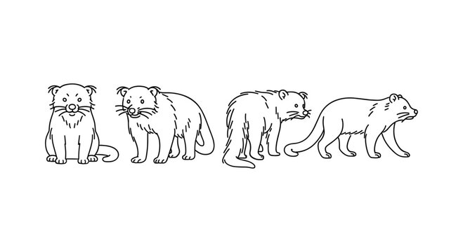 Binturong outline set: multiple perspectives of curious wildlife