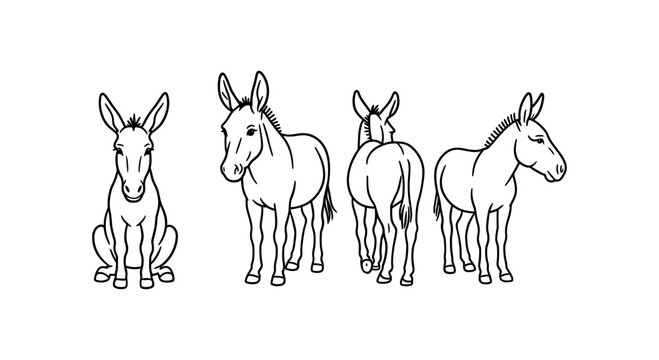 Outline donkey sketch: front, side, back views of cute cartoon animals