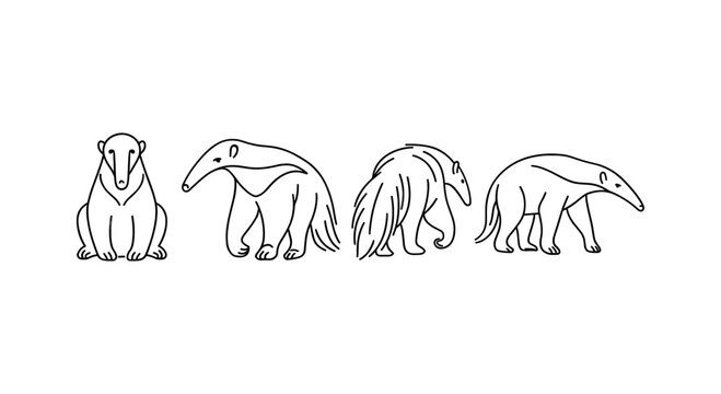 Minimalist anteater line art showing four unique poses