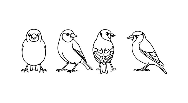 Bird outline collection: minimalist wildlife illustrations in monochrome, perfect for nature lovers and artists