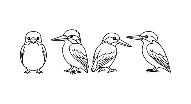 Linear bird outline collection: four cute kingfisher designs