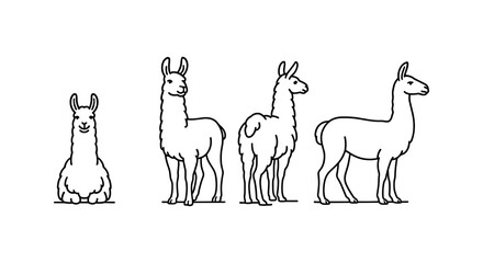 Obraz premium Linear llama set: cute cartoon llamas in various poses