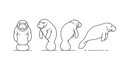 Continuous line drawing of a manatee's evolution in motion