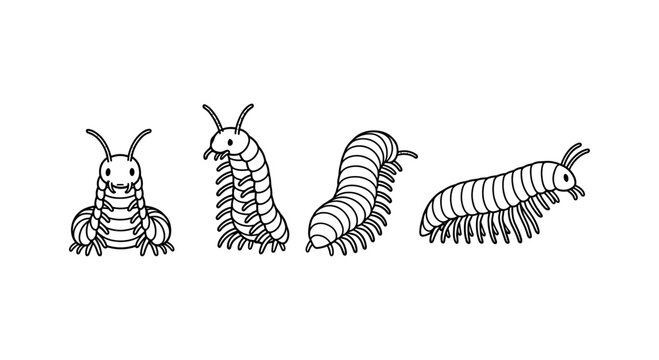 Cute linear millipede design with four playful poses on white background