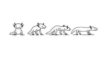 Axolotl evolutionary stages in minimalist linear style